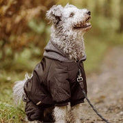 Heldress - Jakke og Bukse i én