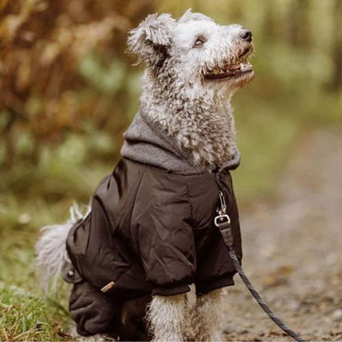 Heldress - Jakke og Bukse i én