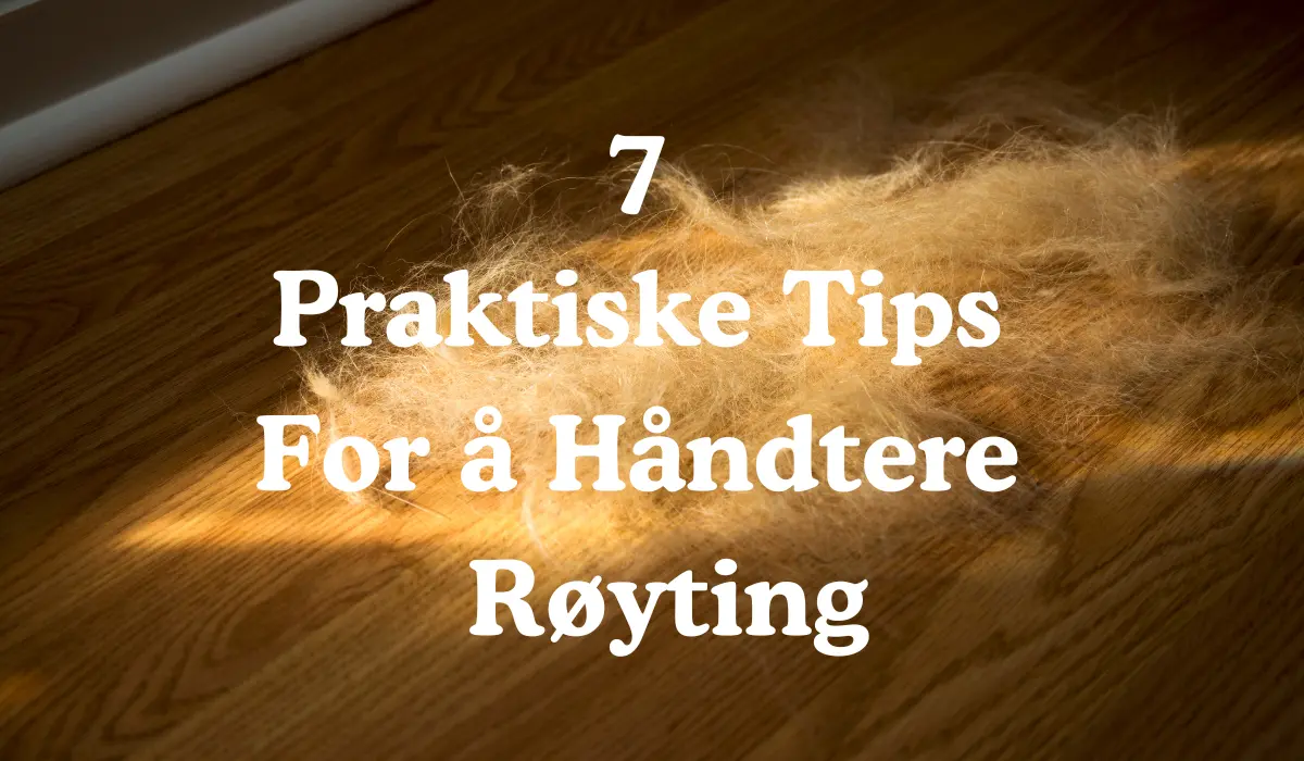 Bilde av hundehår i en haug på gulvet med teksten 7 praktiske tips for å håndtere røyting.