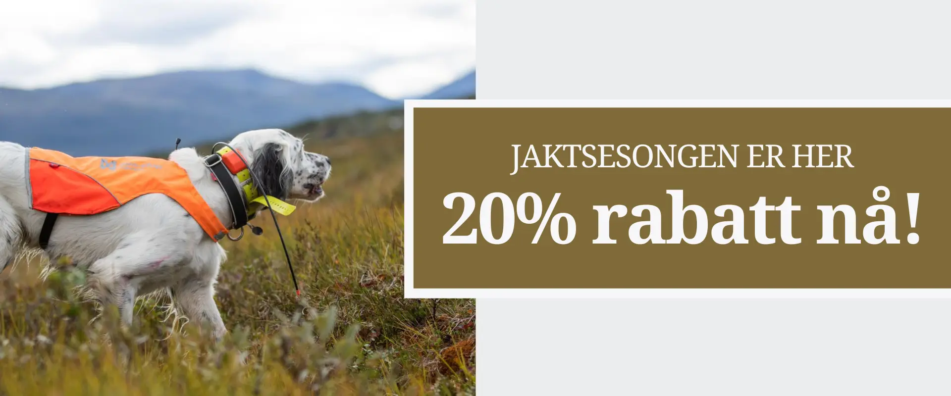 Hos hundeutstyr.no finner du det du trenger til jakt og trening.