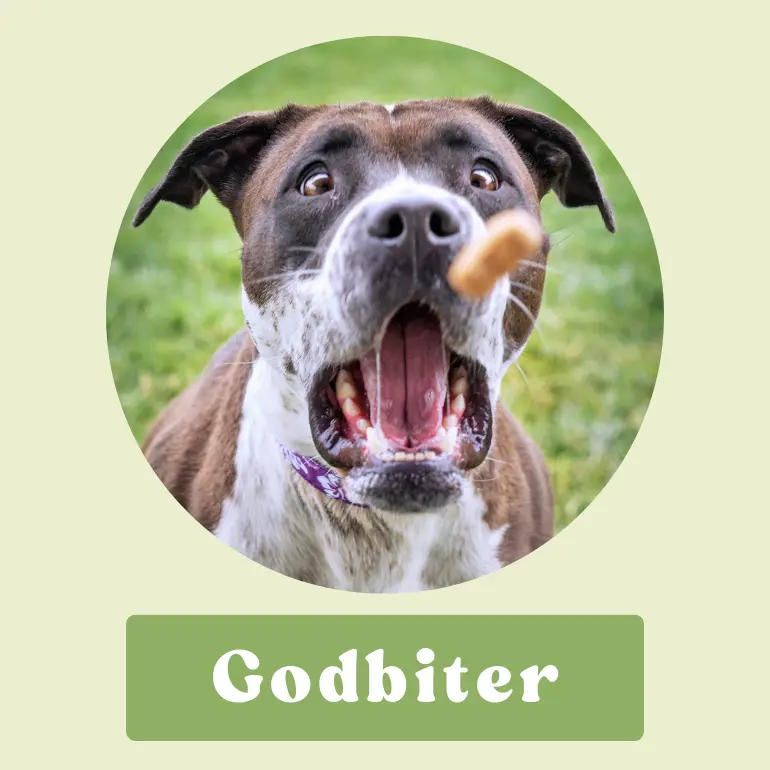 Godbiter